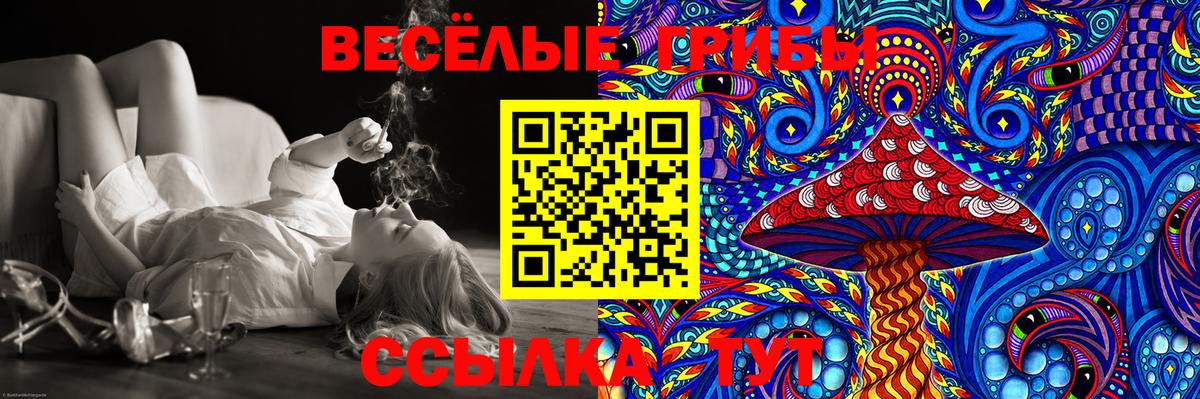 Галлюциногенные грибы GOLDEN TEACHER  Вход с VPN  Новороссийск 